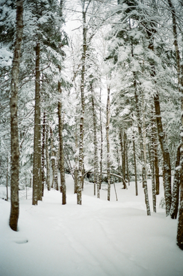 Cross-country ski subscription
